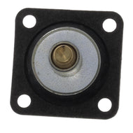 Bomba Carburador Walker Products 1009F - Mi Refacción
