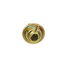 Cargar imagen en el visor de la galería, Diafragma Carburador Walker Products 101-726