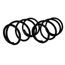 Cargar imagen en el visor de la galería, Resorte Ag 1135004
