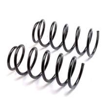 Cargar imagen en el visor de la galería, Resorte Syd 1803033