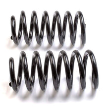 Cargar imagen en el visor de la galería, Resorte Syd 1803035