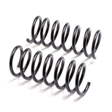 Cargar imagen en el visor de la galería, Resorte Syd 1806002