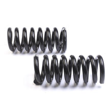 Cargar imagen en el visor de la galería, Resorte Syd 1806047