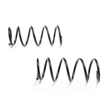 Cargar imagen en el visor de la galería, Resorte Syd 1816018