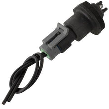 Cargar imagen en el visor de la galería, Sensor Temperatura Carga Aire Walker Products 210-91010