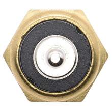 Cargar imagen en el visor de la galería, Bulbo Temperatura Walker Products 211-1089