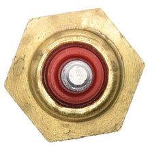 Cargar imagen en el visor de la galería, Bulbo Temperatura Walker Products 211-2052