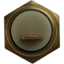 Cargar imagen en el visor de la galería, Bulbo Temperatura Walker Products 214-1024