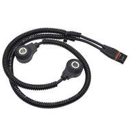 Sensor Detonación Walker Products 242-1186
