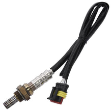 Cargar imagen en el visor de la galería, Sensor Oxígeno Walker Products 250-24374