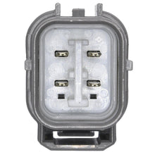 Cargar imagen en el visor de la galería, Sensor Oxígeno Walker Products 250-24441