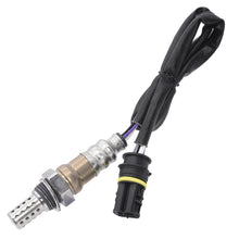 Cargar imagen en el visor de la galería, Sensor Oxígeno Walker Products 250-24469