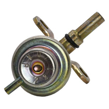 Cargar imagen en el visor de la galería, Regulador Presión Gasolina Walker Products 255-1035