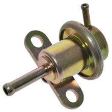 Cargar imagen en el visor de la galería, Regulador Presión Gasolina Walker Products 255-1059
