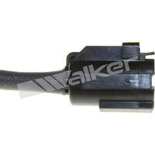 Cargar imagen en el visor de la galería, Sensor Oxígeno Walker Products 350-34342