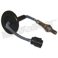 Sensor Oxígeno Walker Products 350-34342