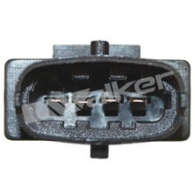 Cargar imagen en el visor de la galería, Sensor Oxígeno Walker Products 350-34466