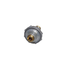 Cargar imagen en el visor de la galería, Válvula Carburador Walker Products 70-29