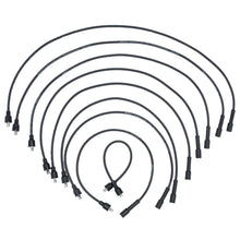 Cargar imagen en el visor de la galería, Cables Bujía Walker Products 924-1658