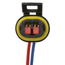 Cargar imagen en el visor de la galería, Conector Sensor Velocidad Del Vehículo Standard Absk1 - Mi Refacción