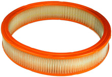 Cargar imagen en el visor de la galería, Filtro Aire Fram Ca3648 - Mi Refacción