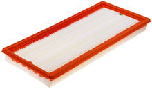 Cargar imagen en el visor de la galería, Filtro Aire Fram Ca9113 - Mi Refacción