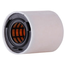 Cargar imagen en el visor de la galería, Filtro Aire Interfil F-20A69