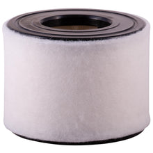 Cargar imagen en el visor de la galería, Filtro Aire Interfil F-49A34
