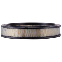 Cargar imagen en el visor de la galería, Filtro Aire Interfil F-63A75