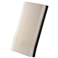 Filtro Aire Interfil F-86A02