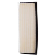 Filtro Aire Interfil F-96A20