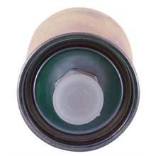 Cargar imagen en el visor de la galería, Filtro Gasolina Interfil Fgi-19