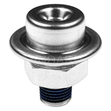 Cargar imagen en el visor de la galería, Regulador Presión Gasolina Standard Fpd65