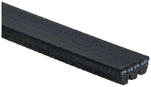 Cargar imagen en el visor de la galería, Banda Accesorio Gates K030313Sf
