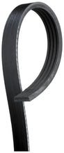 Cargar imagen en el visor de la galería, Banda Accesorio Gates K040262