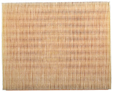 Cargar imagen en el visor de la galería, Filtro Aire Mahle Lx 886 - Mi Refacción