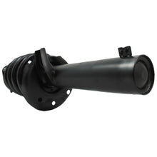 Cargar imagen en el visor de la galería, Amortiguador Ag P2172311
