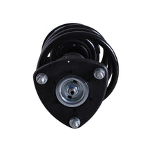 Cargar imagen en el visor de la galería, Amortiguador Ag P2173015