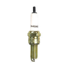 Cargar imagen en el visor de la galería, Bujía Champion Prg6Hcc - Mi Refacción