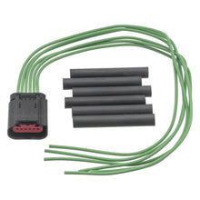 Cargar imagen en el visor de la galería, Conector Motor Control Acelerador Standard S2409 - Mi Refacción