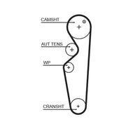 Banda Tiempo Gates T283 - Mi Refacción