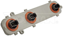 Cargar imagen en el visor de la galería, Porta Foco Calavera Dorman 923-011 - Mi Refacción