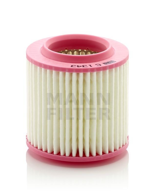 Filtro Aire Mann-Filter C 1343