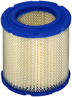 Filtro Aire Fram Ca15