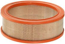 Cargar imagen en el visor de la galería, Filtro Aire Fram Ca79 - Mi Refacción