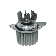 Bomba Agua Knadian P2481 - Mi Refacción