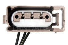 Cargar imagen en el visor de la galería, Conector Luz Direccional Freno Trasera Standard S-894 - Mi Refacción