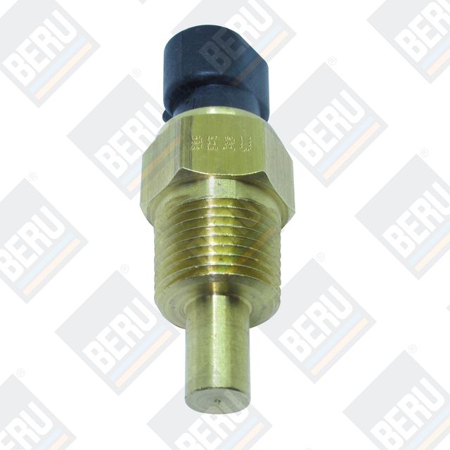 BERU Sensor, temperatura del refrigerante ST209 - Sistema eléctrico del  motor para su coche barato online