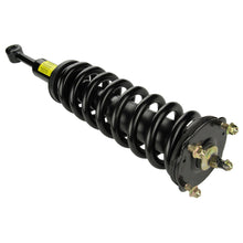 Cargar imagen en el visor de la galería, Amortiguador Moog St8616R - Mi Refacción