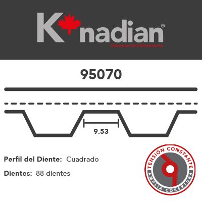 Kit Distribución Knadian Tb070K1 - Mi Refacción